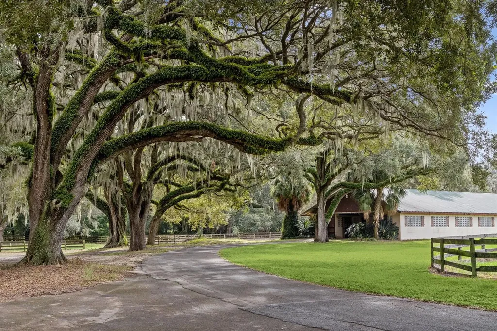 551 NE 200 Avenue Williston FL 32696