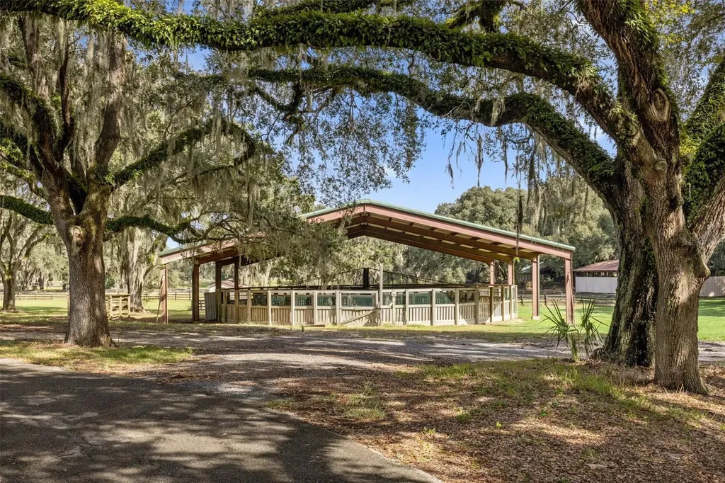 551 NE 200 Avenue Williston FL 32696