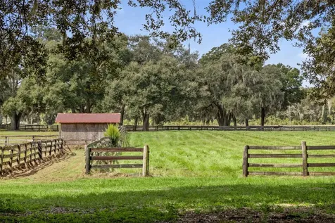 551 NE 200 Avenue Williston FL 32696