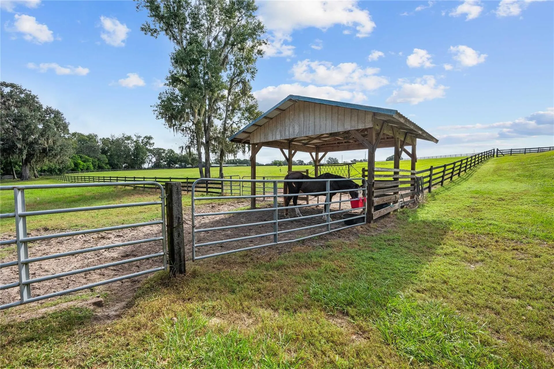 15833 Jessamine Road Dade City FL 33523