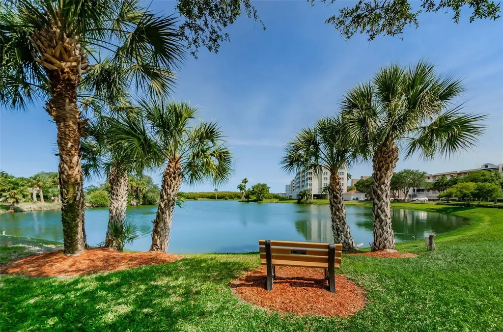 6450 Shoreline Drive St Petersburg FL 33708