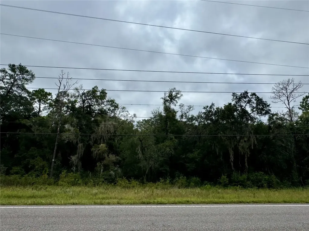 Southwest Highway 484 Dunnellon FL 34432