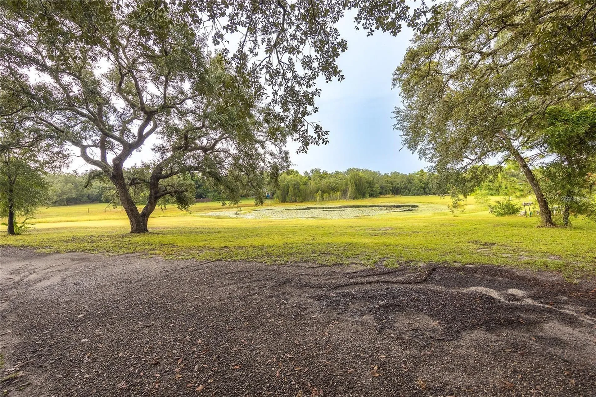 13219 Tyrone Street Hudson FL 34667