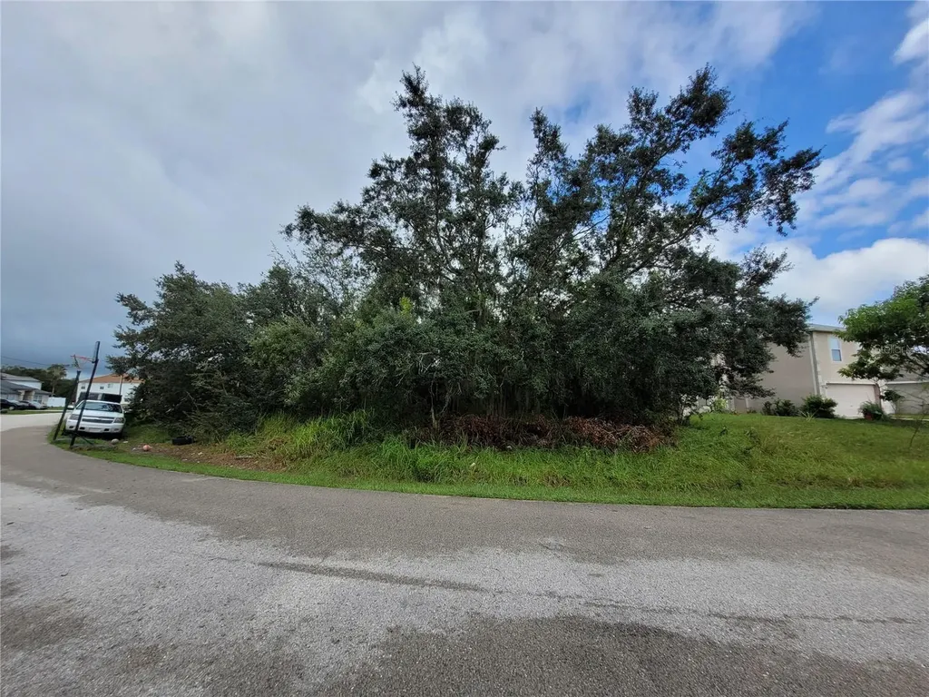 1946 Manatee Court Poinciana FL 34759