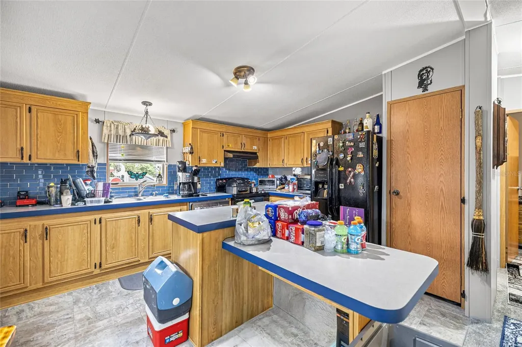 10124 SE 126th Lane Belleview FL 34420