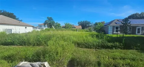 167 Birmingham Drive Kissimmee FL 34758