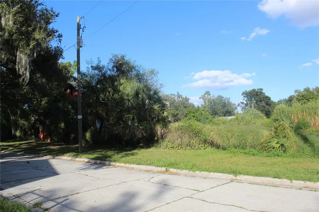 414 E Emily Street Tampa FL 33603