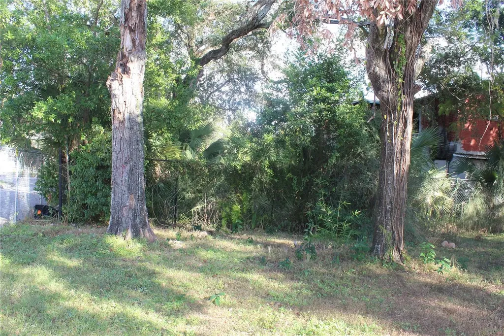 414 E Emily Street Tampa FL 33603