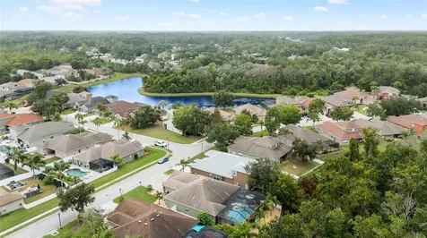 11139 Ragsdale Court New Port Richey FL 34654