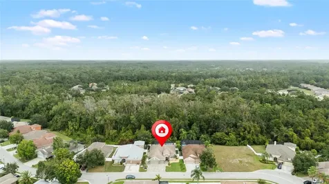 11139 Ragsdale Court New Port Richey FL 34654