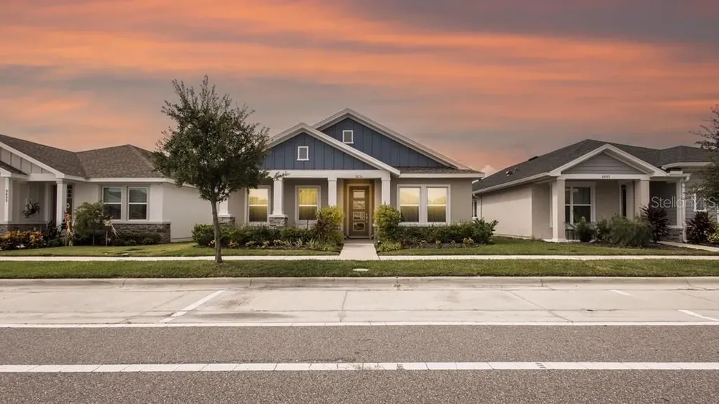 3633 Persimmon Park Drive Wesley Chapel FL 33543