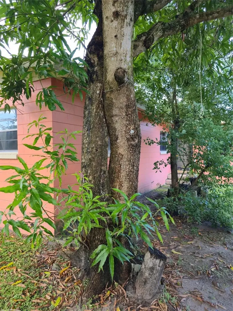 3502 Arch Street Orlando FL 32808