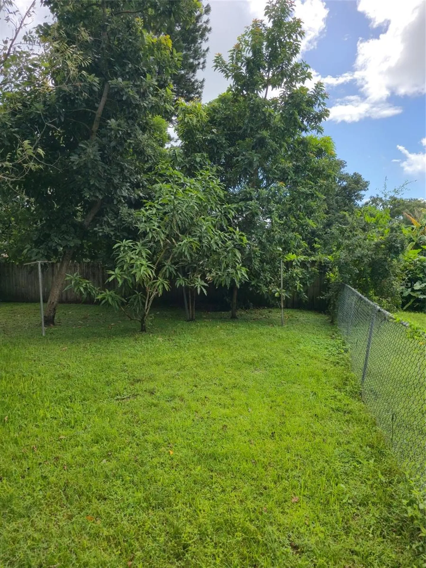 3502 Arch Street Orlando FL 32808