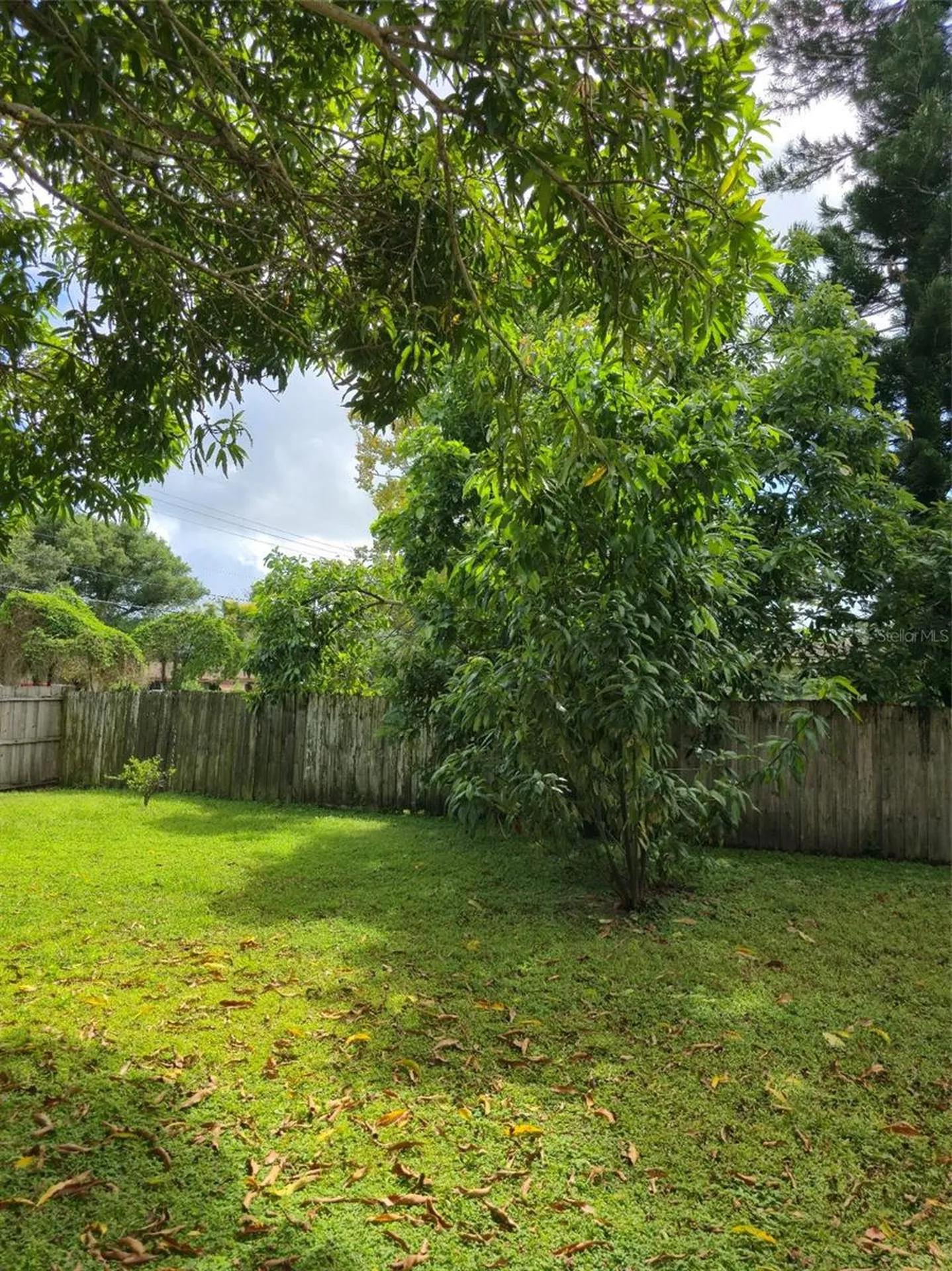 3502 Arch Street Orlando FL 32808