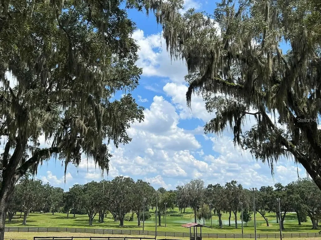 5540 SE 157th Street Road Summerfield FL 34491