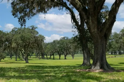 5540 SE 157th Street Road Summerfield FL 34491