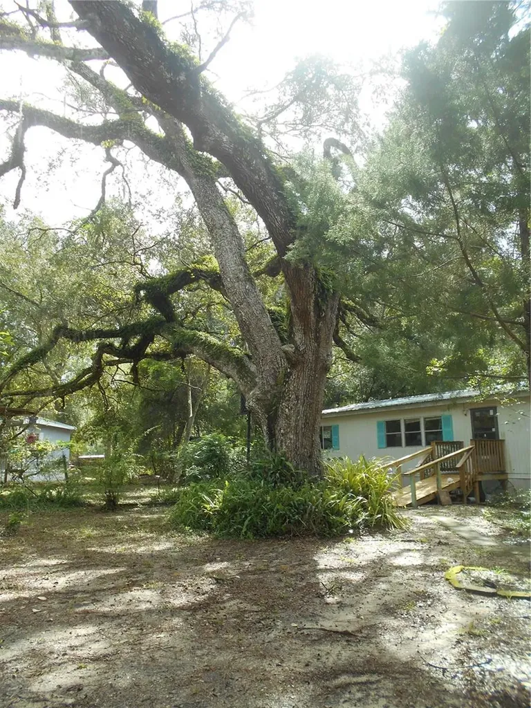 20425 NE 143rd Street Salt Springs FL 32134
