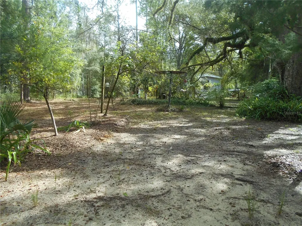 20425 NE 143rd Street Salt Springs FL 32134