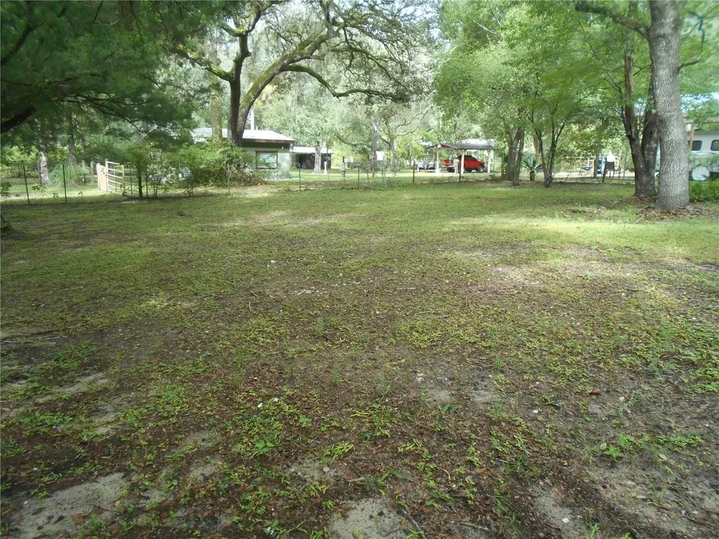 20425 NE 143rd Street Salt Springs FL 32134