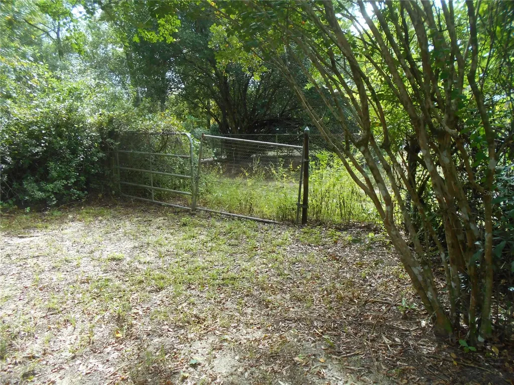 20425 NE 143rd Street Salt Springs FL 32134