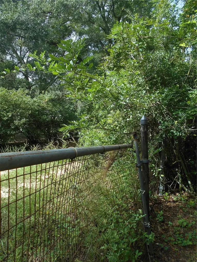 20425 NE 143rd Street Salt Springs FL 32134
