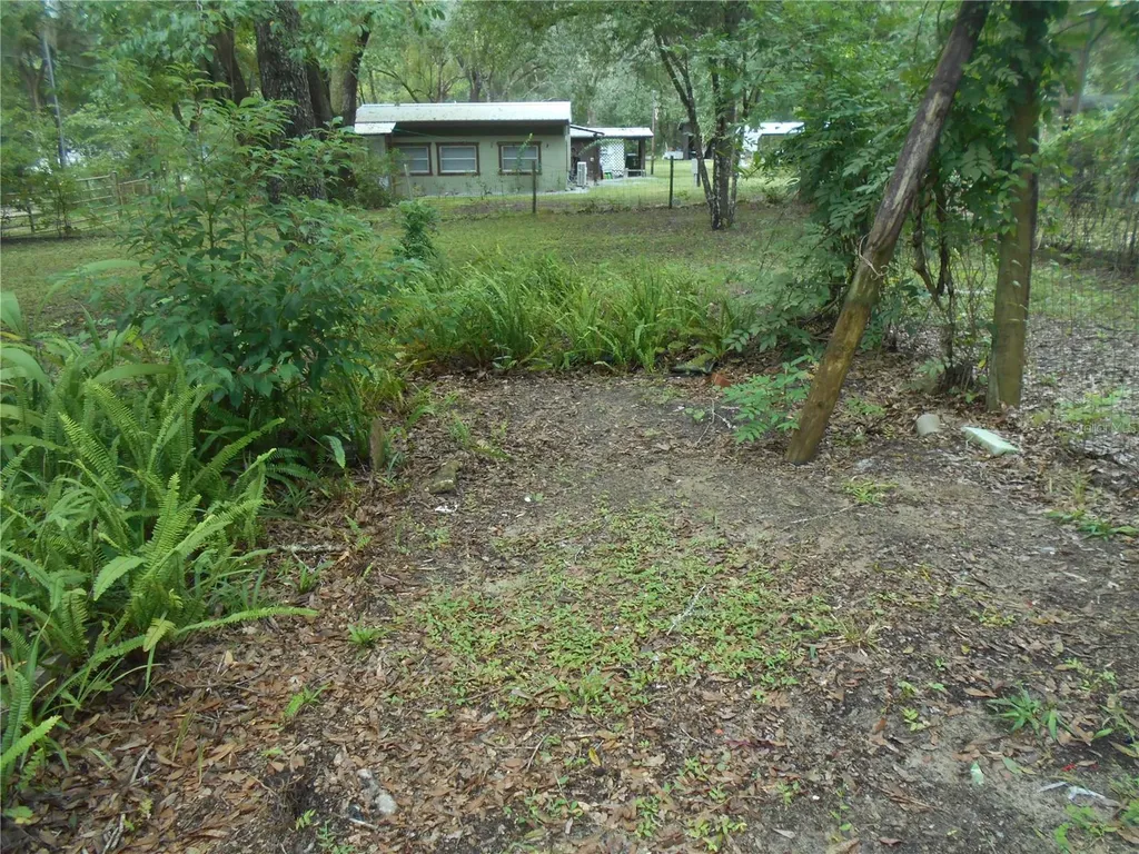 20425 NE 143rd Street Salt Springs FL 32134