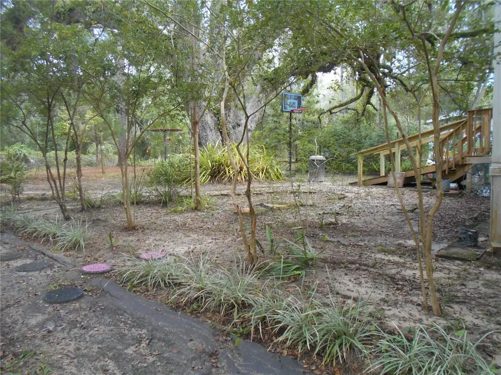 20425 NE 143rd Street Salt Springs FL 32134