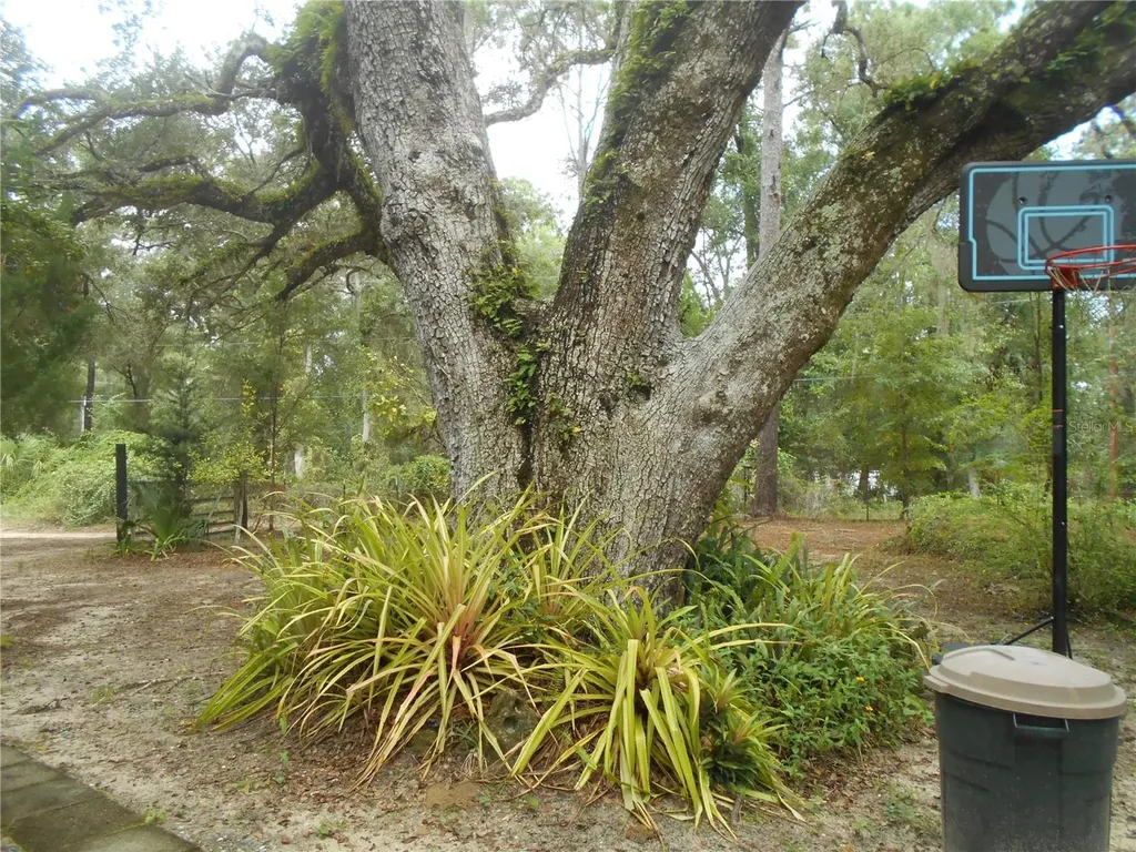 20425 NE 143rd Street Salt Springs FL 32134