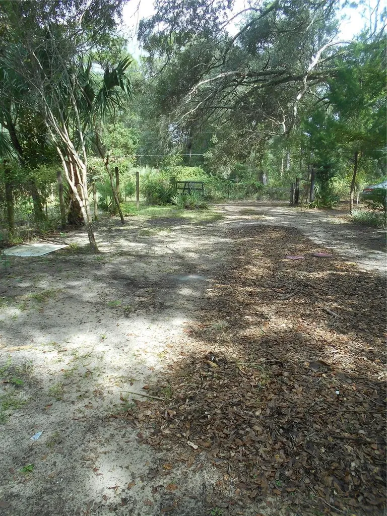20425 NE 143rd Street Salt Springs FL 32134