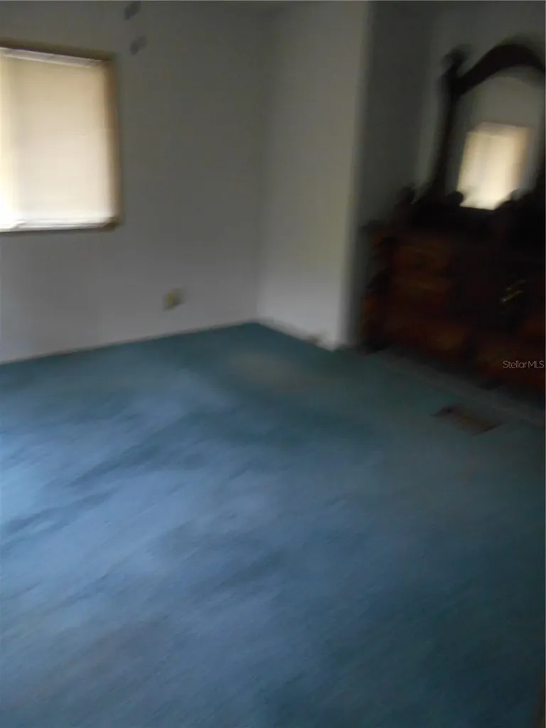 20425 NE 143rd Street Salt Springs FL 32134