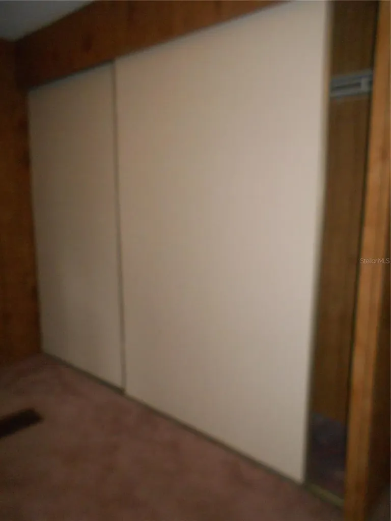 20425 NE 143rd Street Salt Springs FL 32134