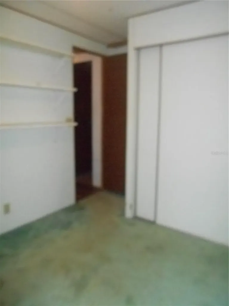 20425 NE 143rd Street Salt Springs FL 32134