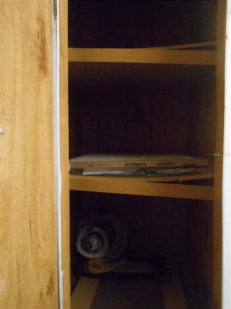 20425 NE 143rd Street Salt Springs FL 32134