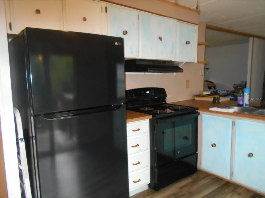 20425 NE 143rd Street Salt Springs FL 32134