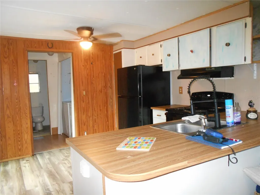 20425 NE 143rd Street Salt Springs FL 32134