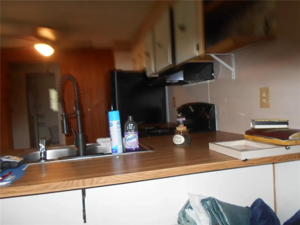 20425 NE 143rd Street Salt Springs FL 32134