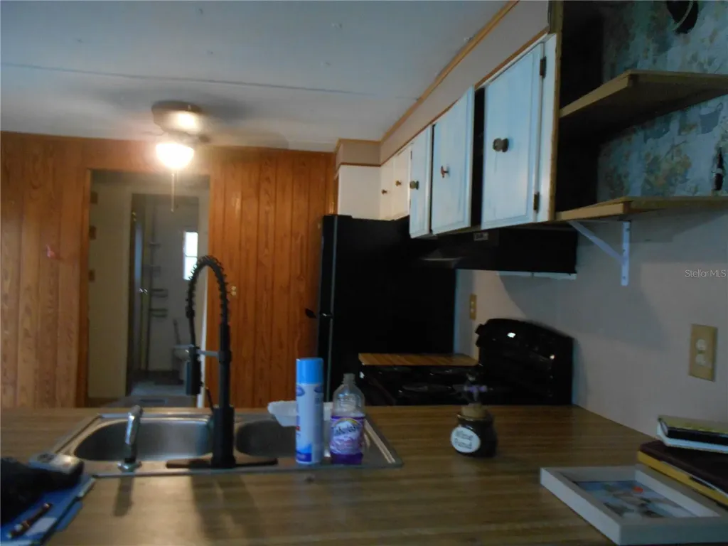 20425 NE 143rd Street Salt Springs FL 32134