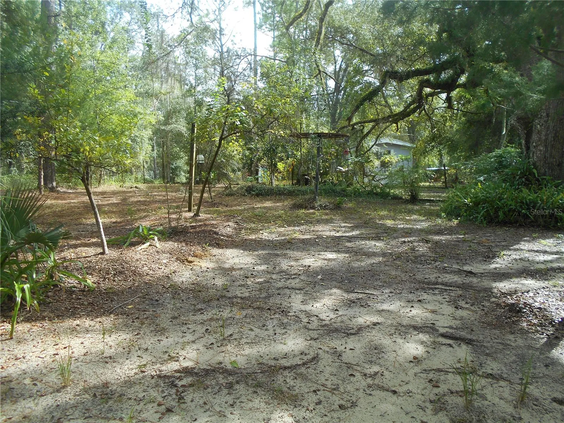 20425 NE 143rd Street Salt Springs FL 32134