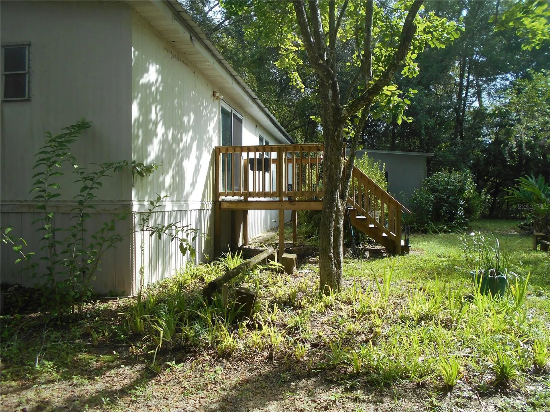 20425 NE 143rd Street Salt Springs FL 32134