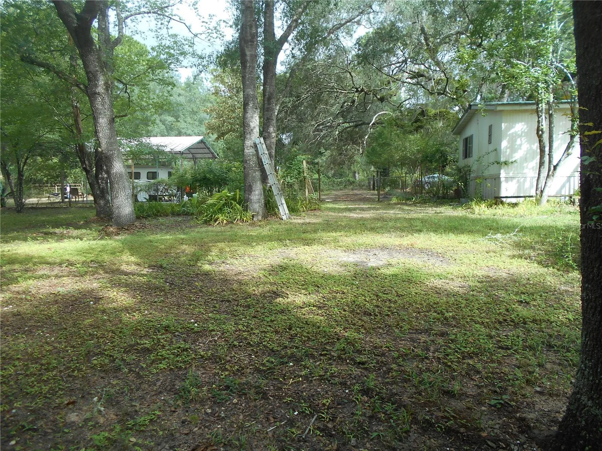20425 NE 143rd Street Salt Springs FL 32134