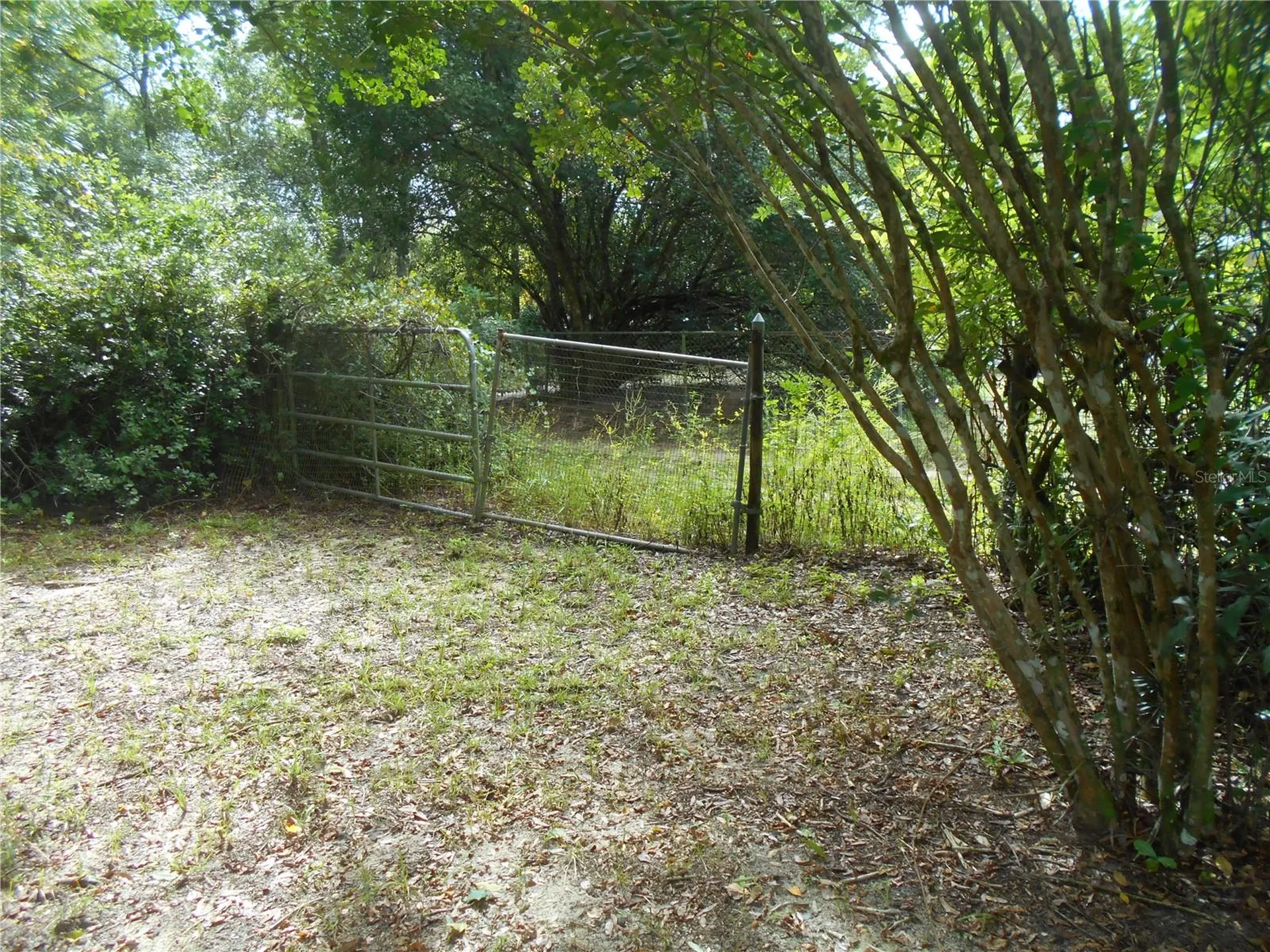 20425 NE 143rd Street Salt Springs FL 32134