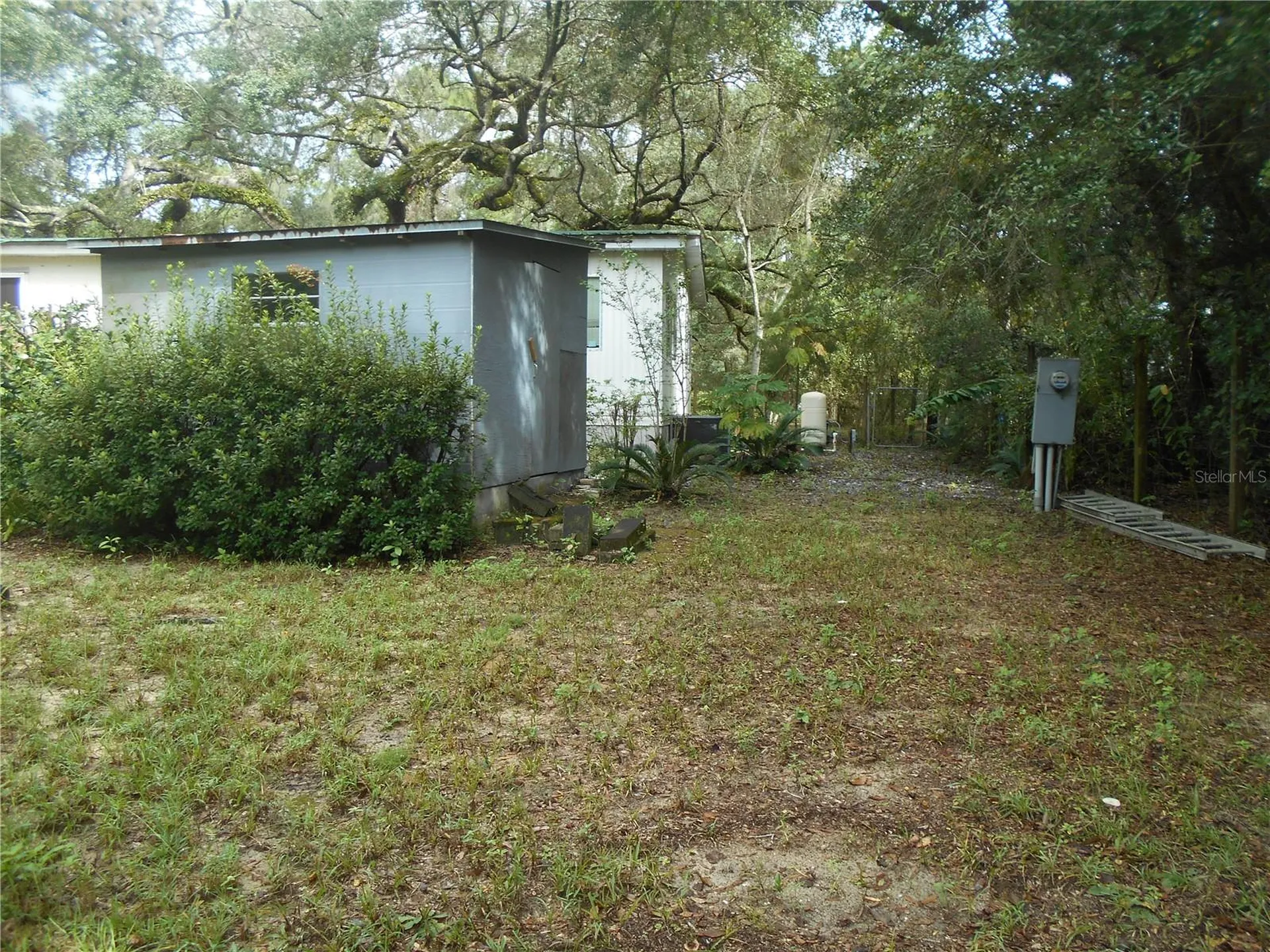 20425 NE 143rd Street Salt Springs FL 32134