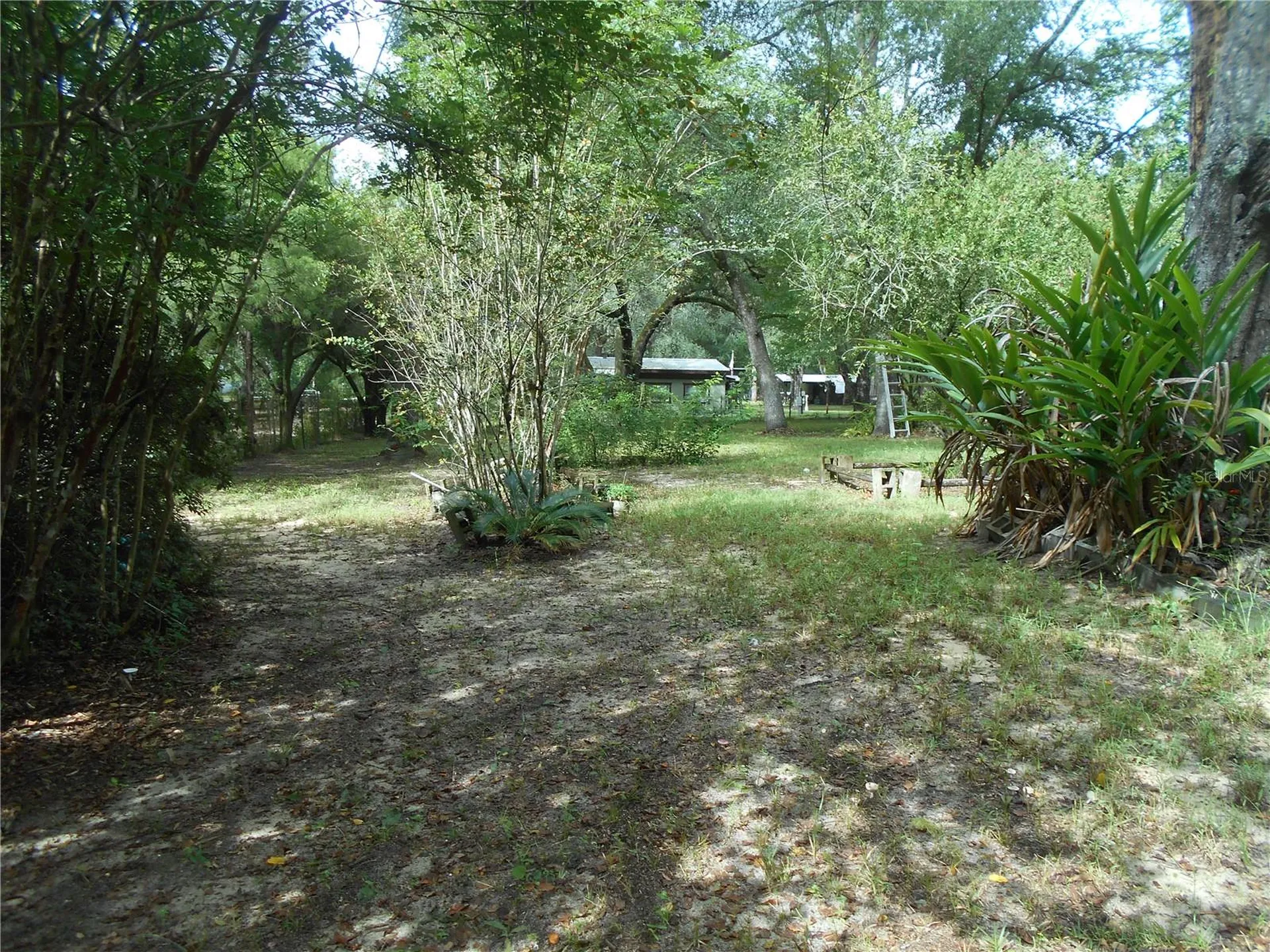 20425 NE 143rd Street Salt Springs FL 32134