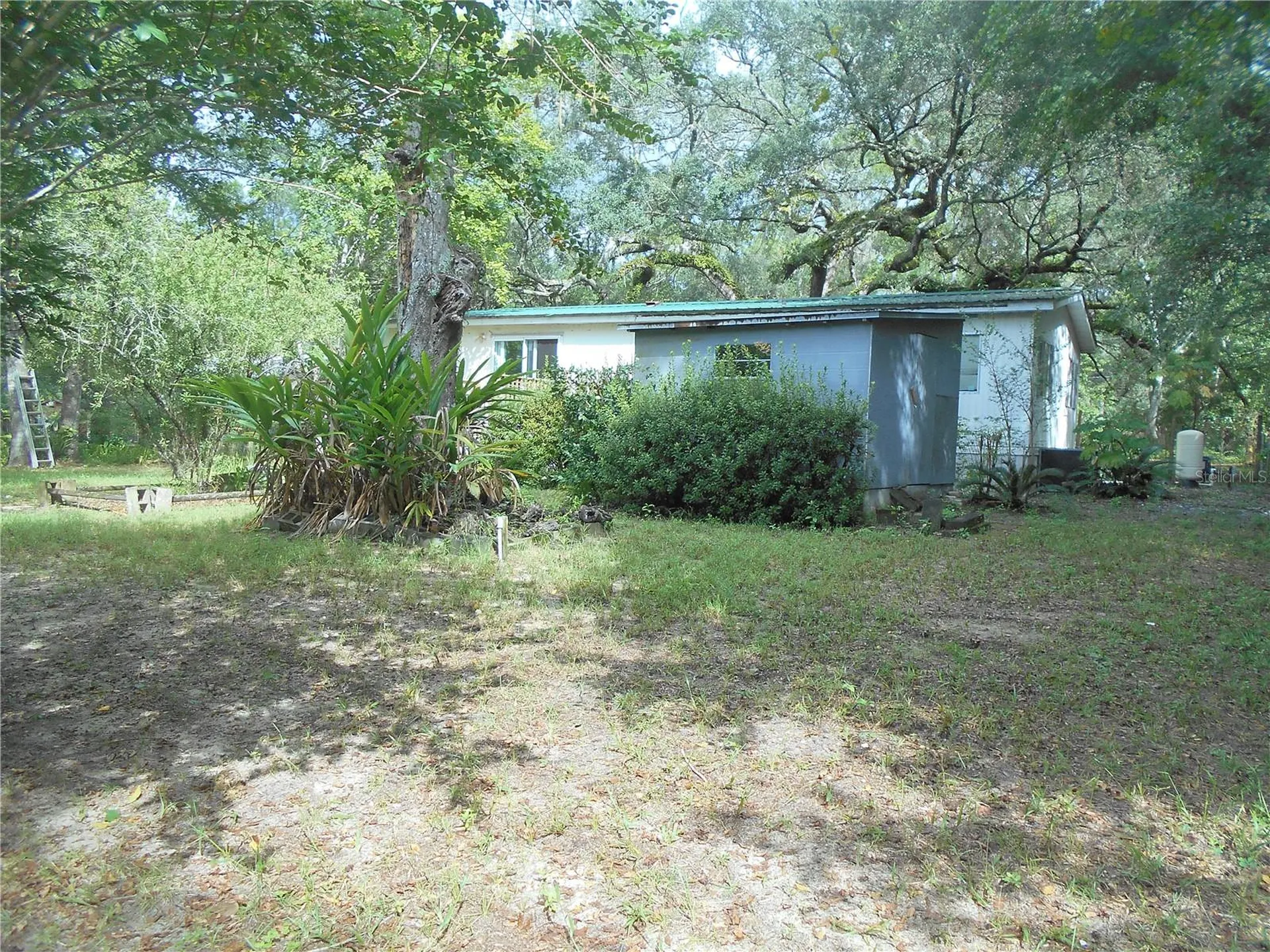 20425 NE 143rd Street Salt Springs FL 32134
