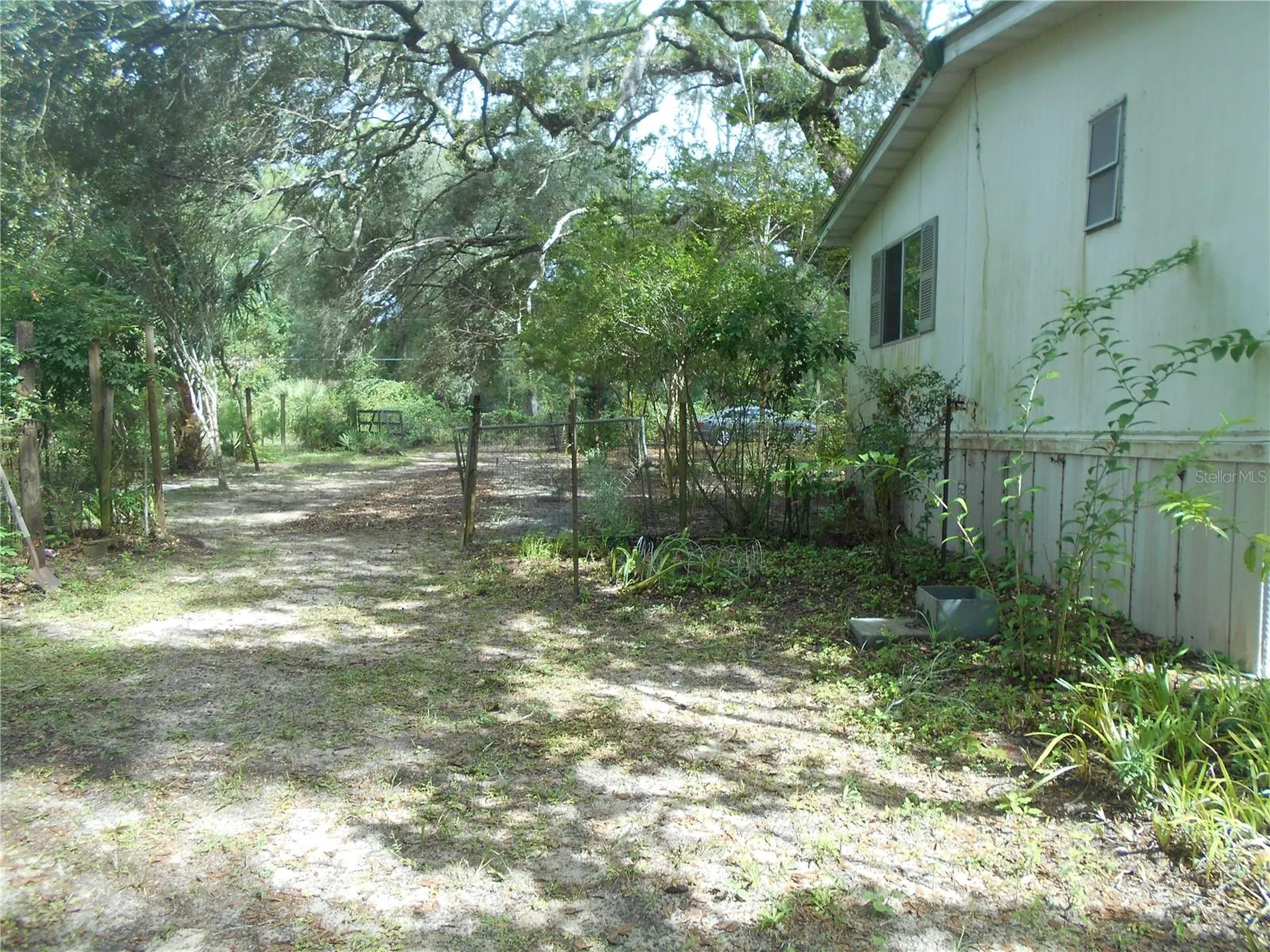 20425 NE 143rd Street Salt Springs FL 32134