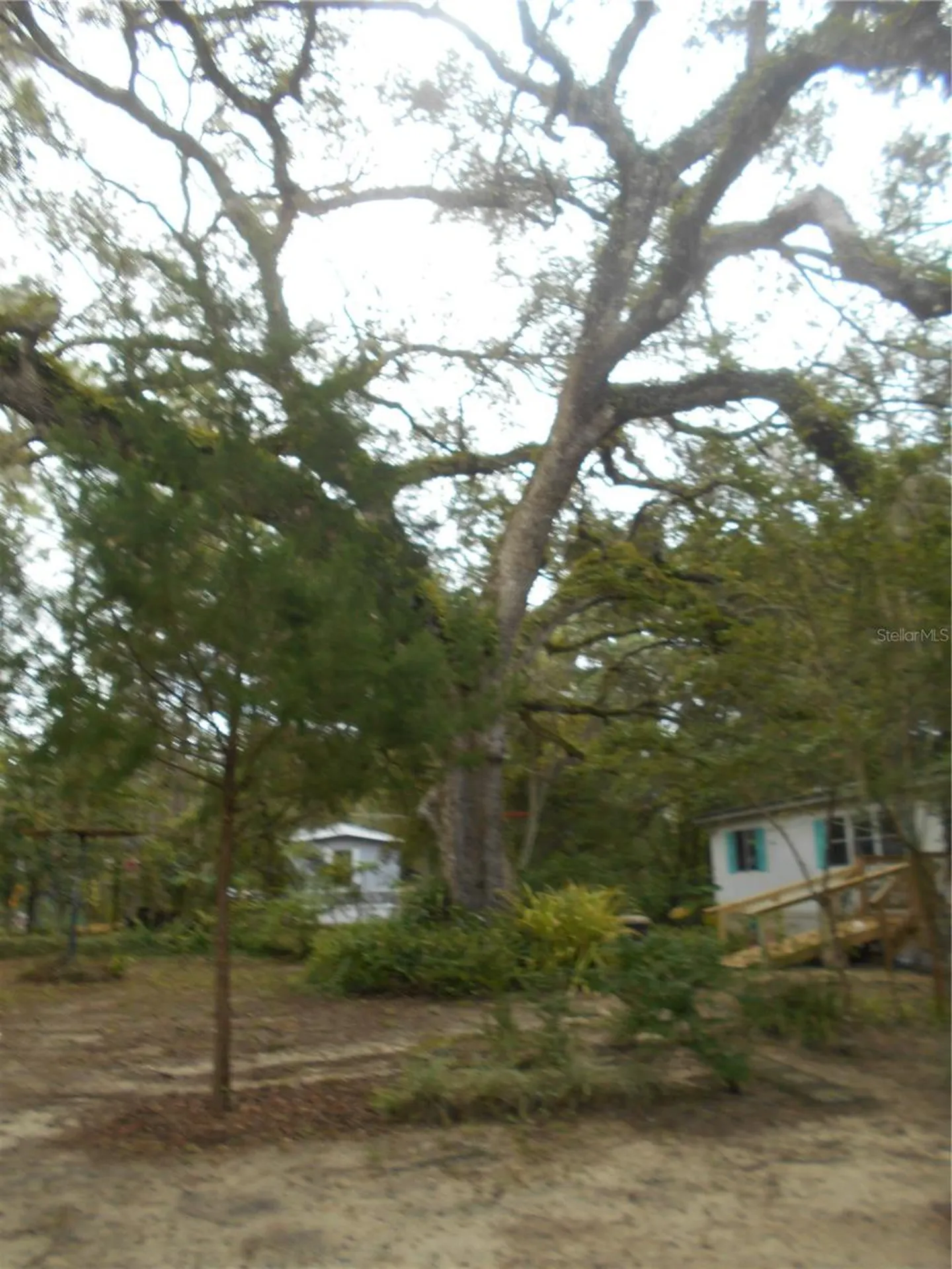 20425 NE 143rd Street Salt Springs FL 32134
