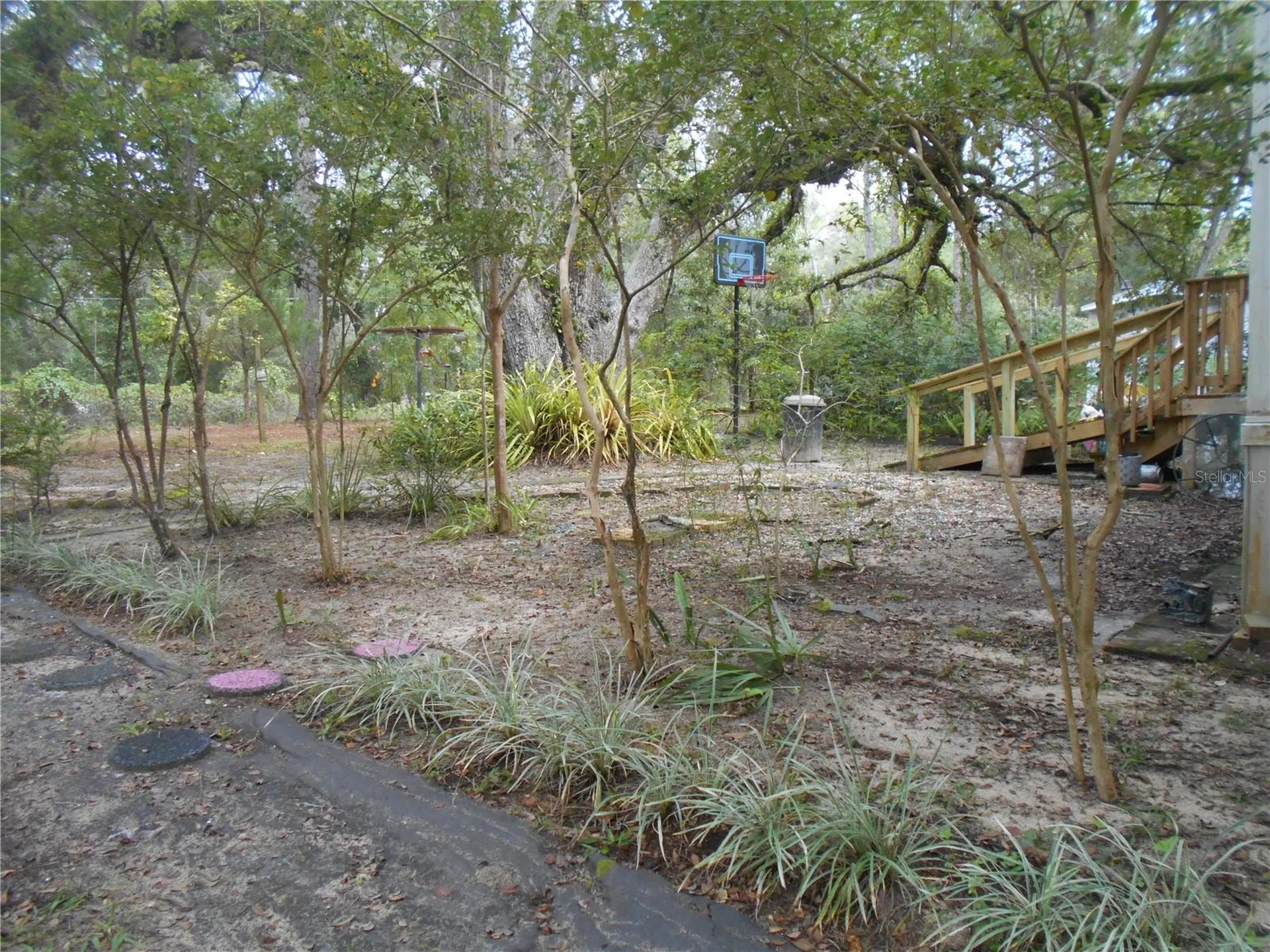20425 NE 143rd Street Salt Springs FL 32134