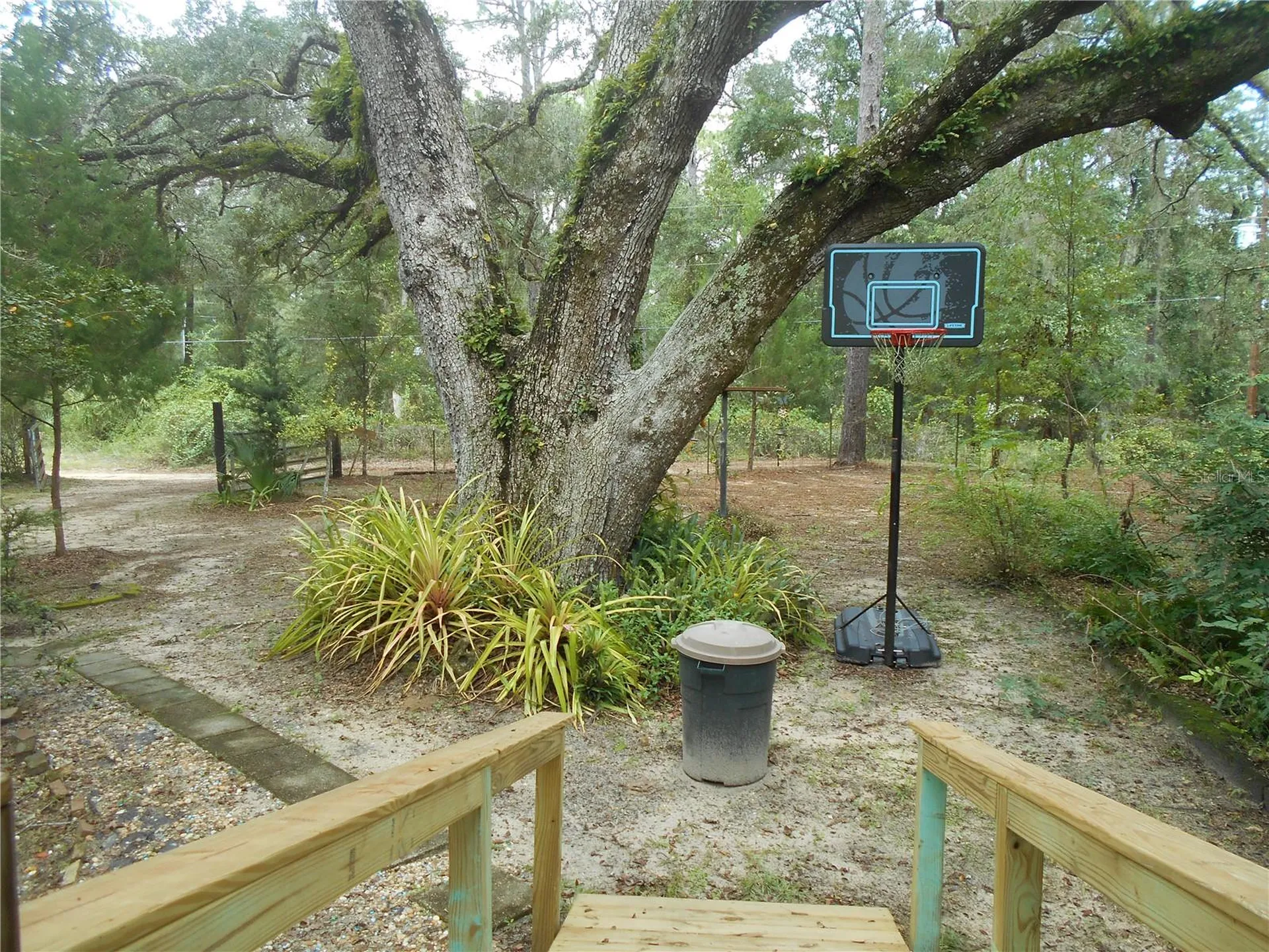 20425 NE 143rd Street Salt Springs FL 32134