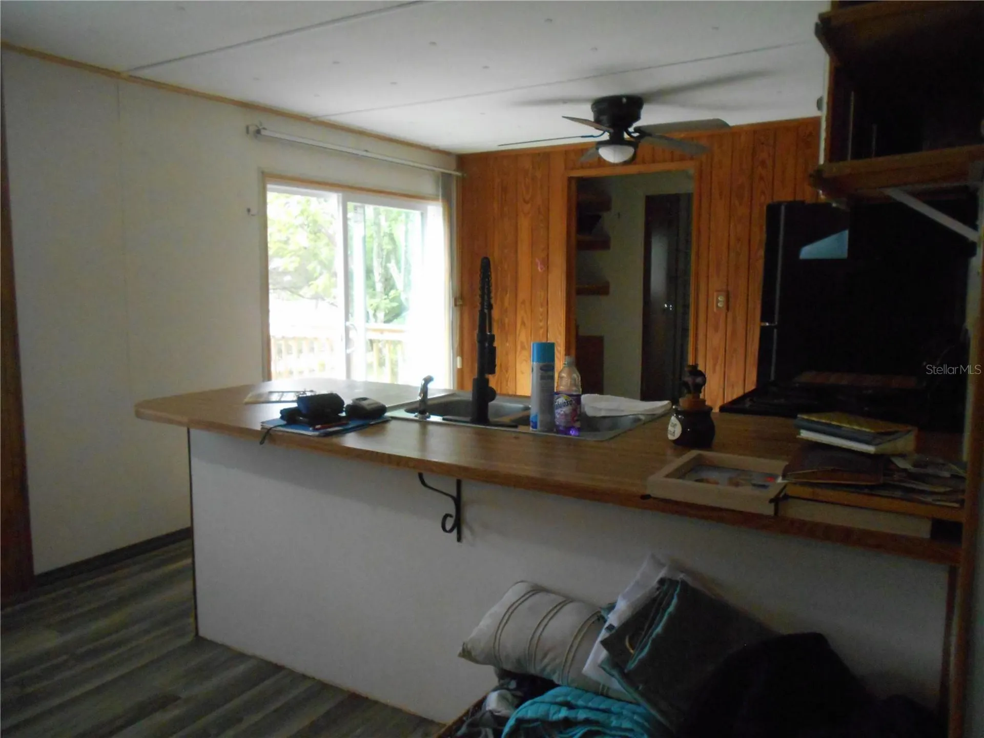 20425 NE 143rd Street Salt Springs FL 32134