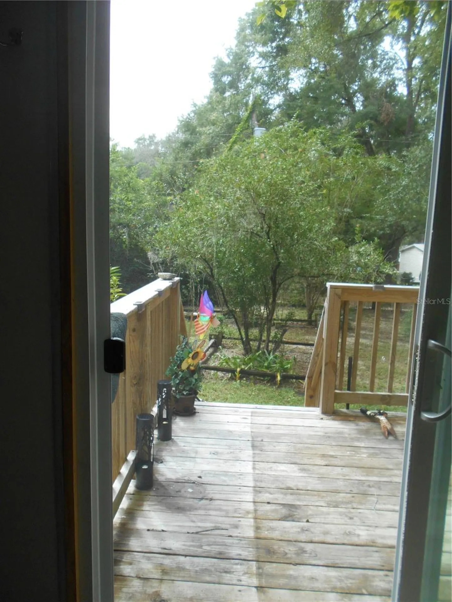 20425 NE 143rd Street Salt Springs FL 32134